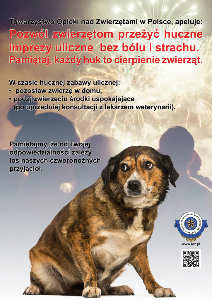 plakat_zwierzeta_i_zabawa_sylwestrowa