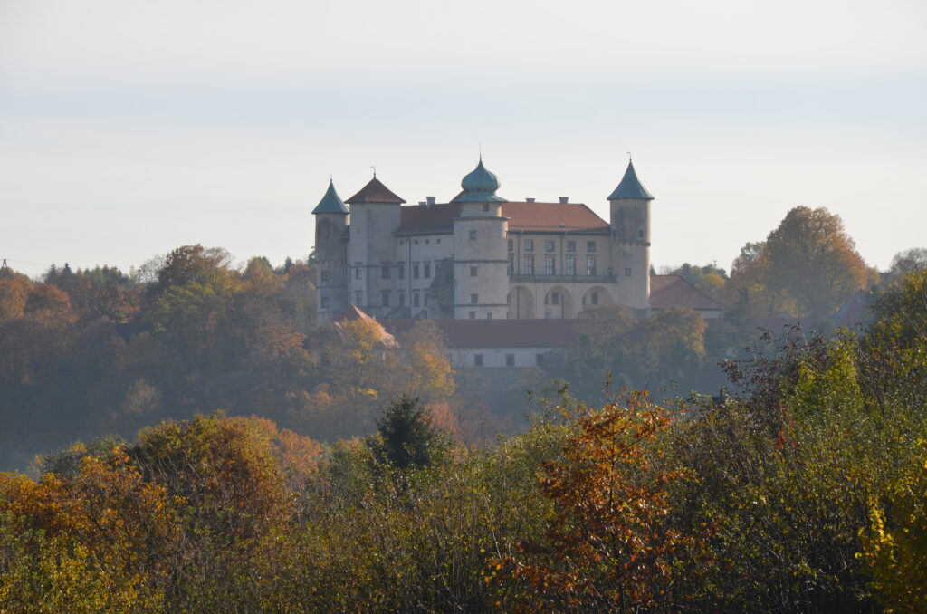 Zamek w Wiśniczu